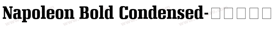 Napoleon Bold Condensed字体转换